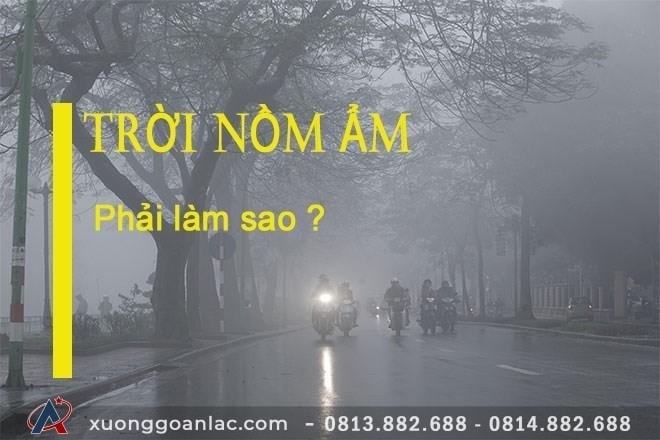 Cách bảo quản đồ nội thất gỗ 2 105d5085913t7442l3 a8d64615f0d7088951c6