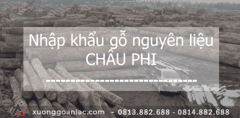Châu Phi và nguồn gỗ nhập khẩu vào Việt Nam 4 Chau Phi va nguon go nhap khau vao Viet Nam