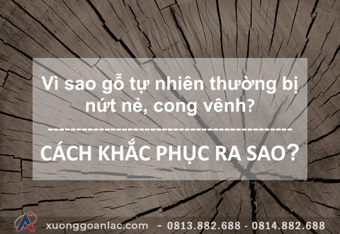 Vì sao gỗ tự nhiên thường bị nứt nẻ, cong vênh và cách khắc phục là gì? 6 Picture1