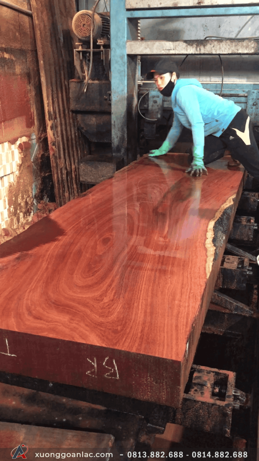 Gỗ hương có mấy loại? Tên gọi và cách phân biệt các loại gỗ hương 3 Mặt bàn gỗ hương đá nguyên khối 240x80x15cm vân siêu đẹp (Cô Nga, Thanh Hóa)