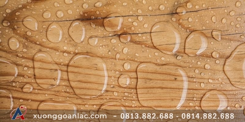Cách giúp gỗ tự nhiên chịu nước tốt hơn 1 waterproofed plywood
