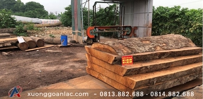 Quy trình sản xuất đồ gỗ tự nhiên tại Xưởng gỗ An Lạc 1 Xẻ cây gỗ tự nhiên tại Xưởng gỗ An Lạc