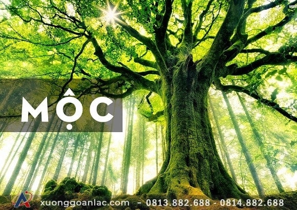 Lợi ích của gỗ tự nhiên có tốt với sức khỏe và đời sống của con người 4 Giá trị (lợi ích) của gỗ tự nhiên có tốt với sức khỏe và đời sống của con người