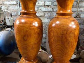 Cặp Lục bình 1m40 (Chú Tiến - Thái Nguyên)
