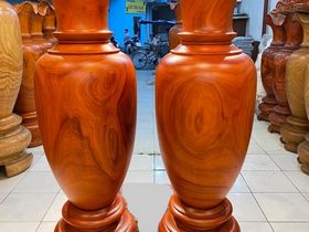 Lục bình (anh Minh - Ninh Bình) (1)