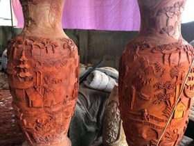 Lục bình 2m20 ( Anh Quân - Hà Nội)