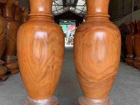 Lục Bình 1m5 (anh Giang – Hà Nội)