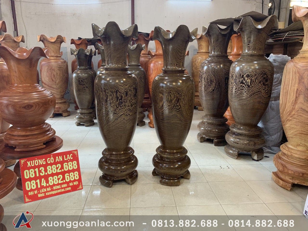 Lục bình gỗ mun đuôi công 1m60 (chú Khang - Thái Nguyên) 12 Lục bình (chú Khang - Thái Nguyên)