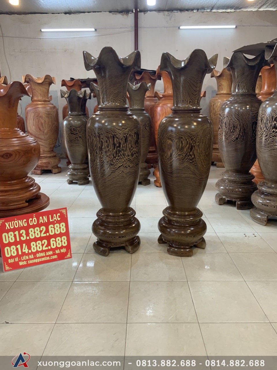 Lục bình gỗ mun đuôi công 1m60 (chú Khang - Thái Nguyên) 11 Lục bình (chú Khang - Thái Nguyên)