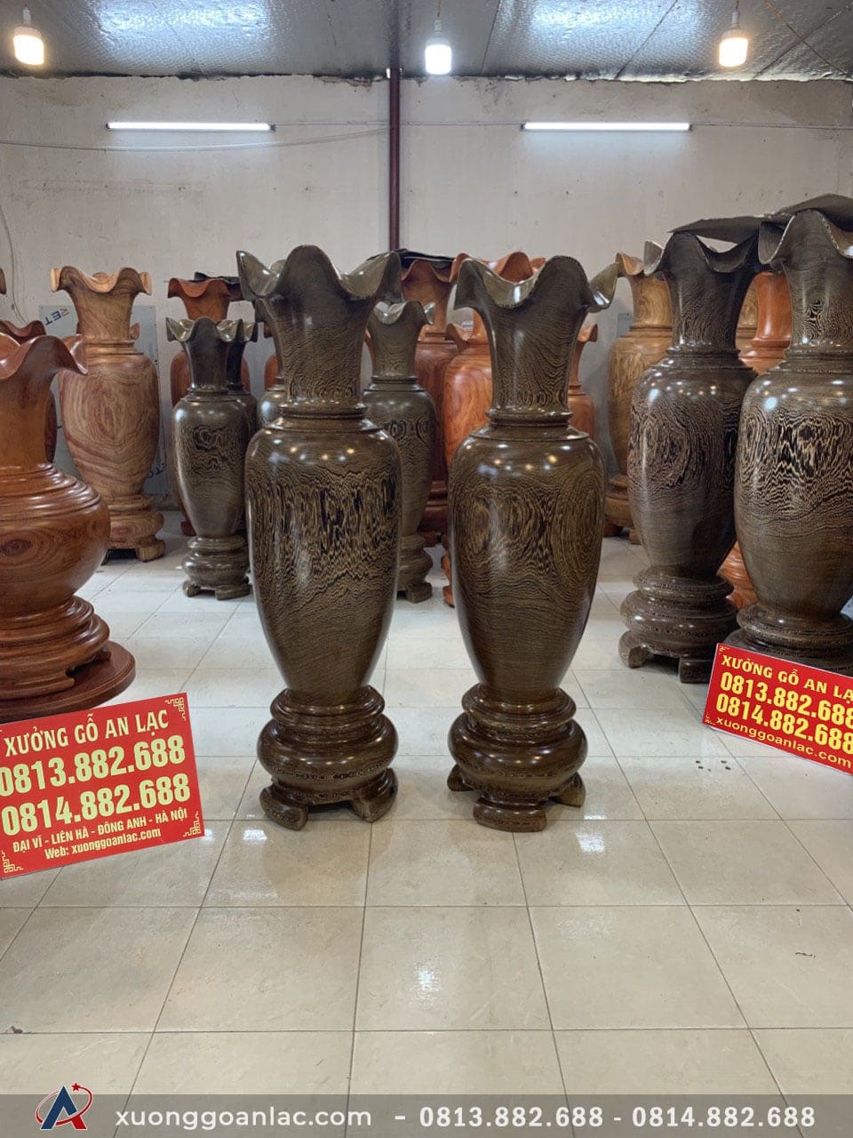 Lục bình gỗ mun đuôi công 1m60 (chú Khang - Thái Nguyên) 13 Lục bình (chú Khang - Thái Nguyên)