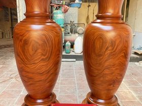 Lục bình 1m50( anh Phong - Hà Nội)