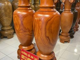 Lục bình 1m70 (chú Tâm - Thái Nguyên)