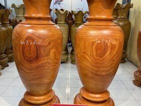 Lục bình (anh Đang - Hà Nội)