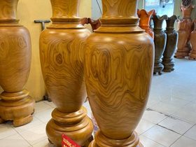 Lục bình 1m97(anh Tùng - Hải Phòng) (1)