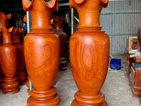 Lục bình 1m7(anh Hùng - Hưng Yên)