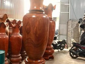 Lục bình 2m17 ( Anh Đào - Hà Nam)