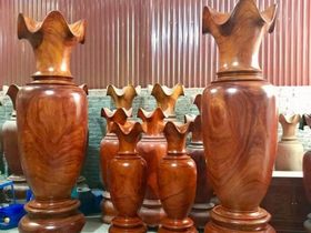 Lục bình 2m17 ( Anh Đào - Hà Nam)