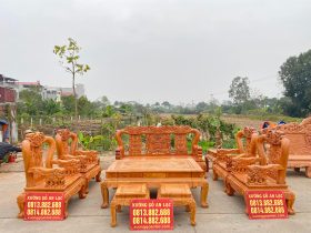 Combo bàn ghế Minh Quốc Voi 10 món và bàn ăn 8 ghế hoa lá tây gỗ gõ đỏ (Anh Hoàng, Hà Nội) 16 Bo ban ghe Minh quoc voi chien tay 12 go go do 10 mon 4