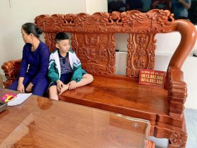 bàn ghế minh quốc voi gỗ hương đá