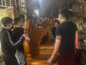 Hoang gia nguyen khoi 100 go go do pachi bo 10 mon 10