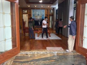 Hoang gia nguyen khoi go go do hang sieu vip 1