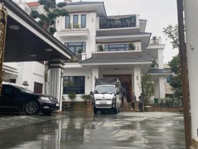 Hoang gia nguyen khoi go go do hang sieu vip 3