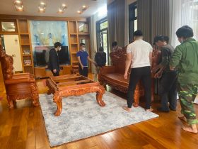 bàn ghế louis hoàng gia gỗ gõ đỏ