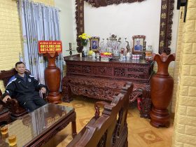 Lục bình gỗ hương đỏ