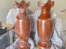 lục bìn gỗ hương đỏ
