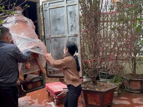 Bộ bàn ăn nguyên khối và 10 ghế louis hoa lá tây (Anh Vũ, Đông Anh, Hà Nội) 53 ban an 10 ghe anh Vu chi Men Dong Anh 18