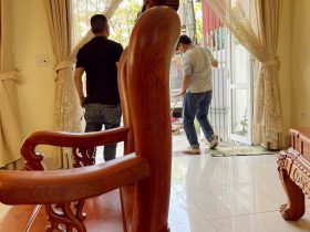 mẫu ghế đơn minh quốc đào vai cột 12