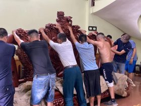 mẫu đoản dài được lắp đặt vào nhà