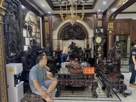 combo nội thất phòng khách gỗ mun hoa Lào