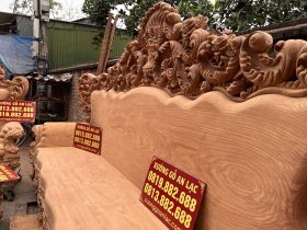 Bo Hoang Gia nguyen khoi 6 mon tua lien go go do 12