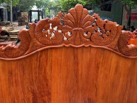 mặt lưng của đoản