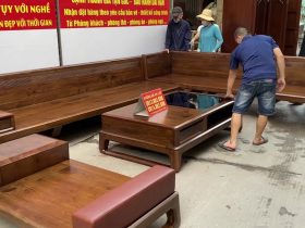sofa zito gỗ óc chó nhập khẩu