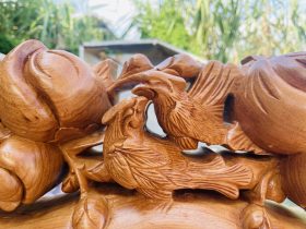 cận cảnh hình tượng đôi chim trên chương đoản