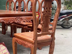 Mẫu ghế cây đàn gỗ hương đá hàng cao cấp 11 mặt lưng của ghế ăn cây đàn