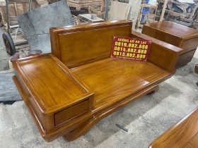 ghế đôi của bộ sofa chân huyền gỗ pachy hiện đại