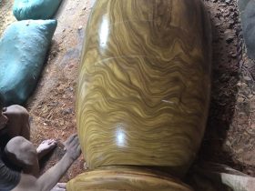 mộc lục bình gỗ cẩm vàng